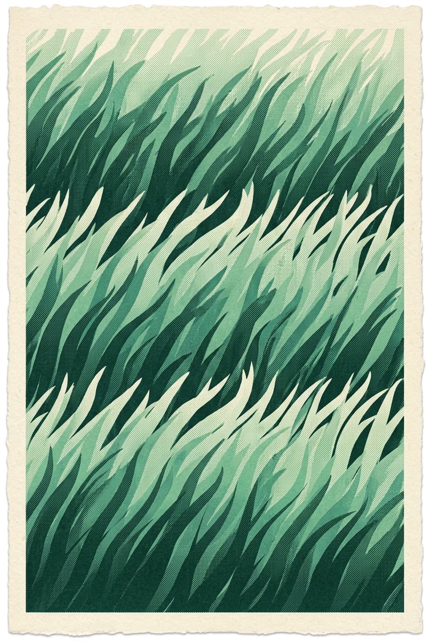 The Under Meadow