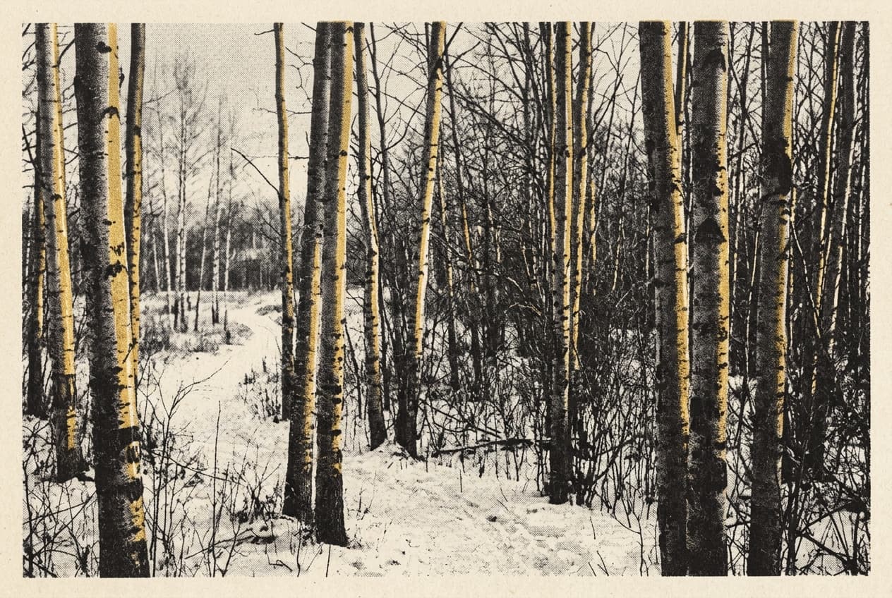 Gula ränder i snön