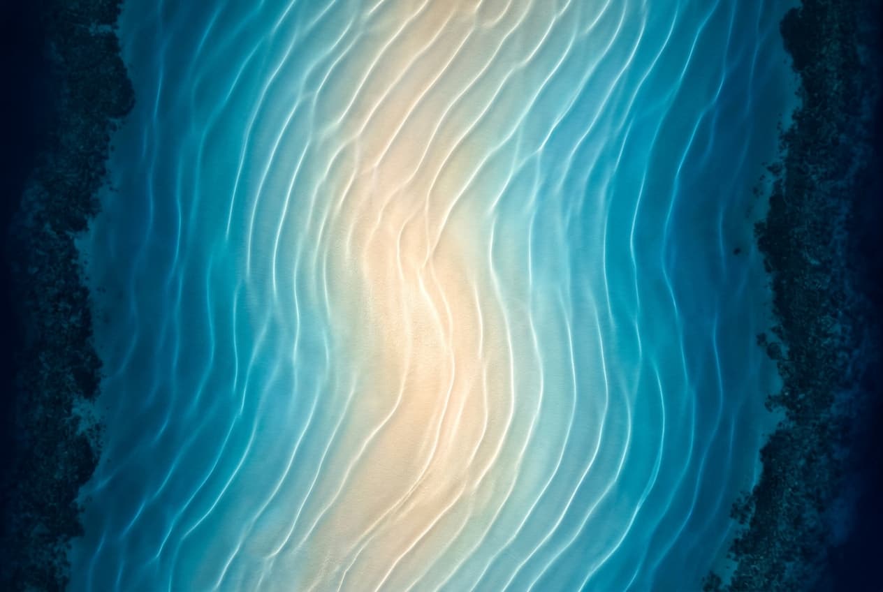 The Warm Middle