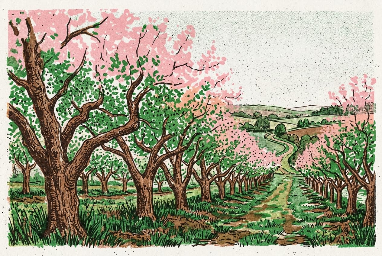 The Long Blossom Row