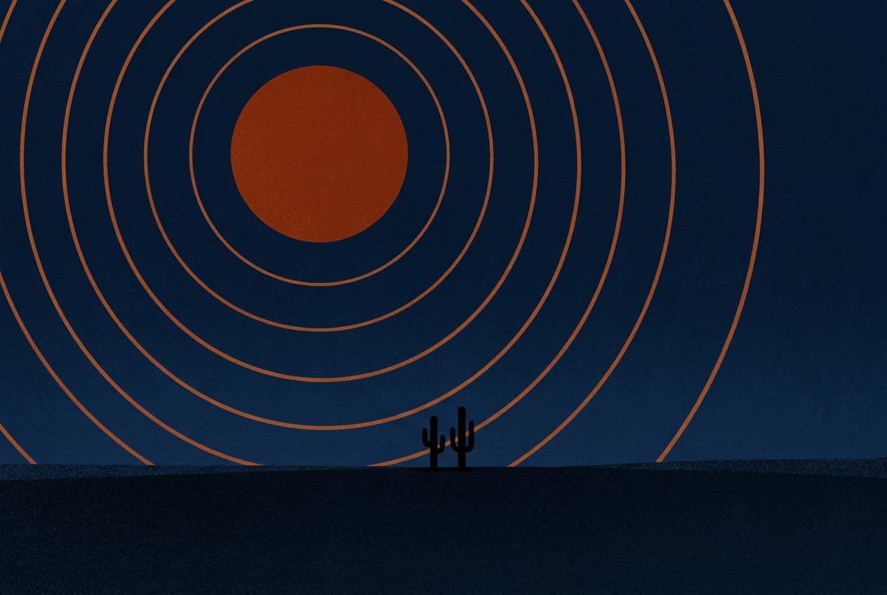 Rings In The Night