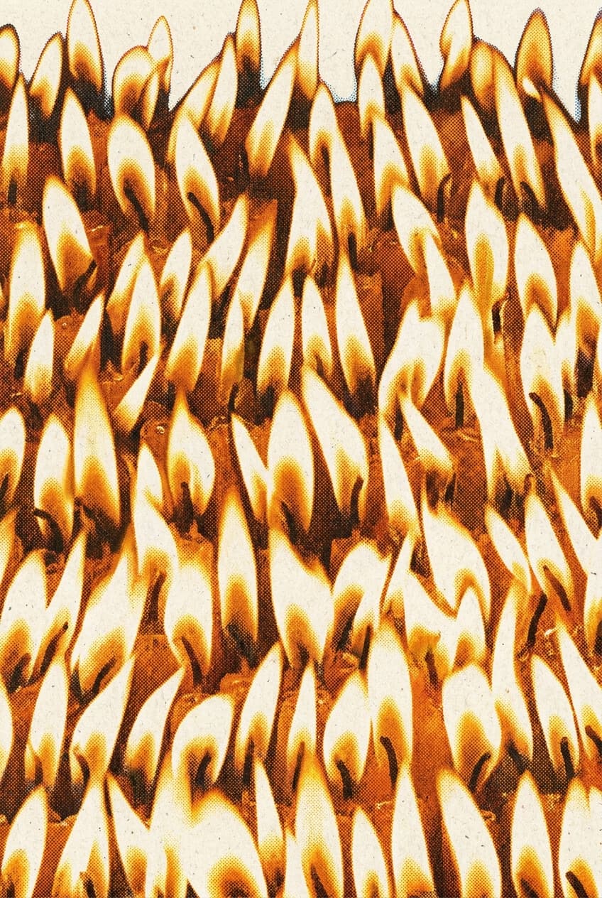 The Crowded Flames
