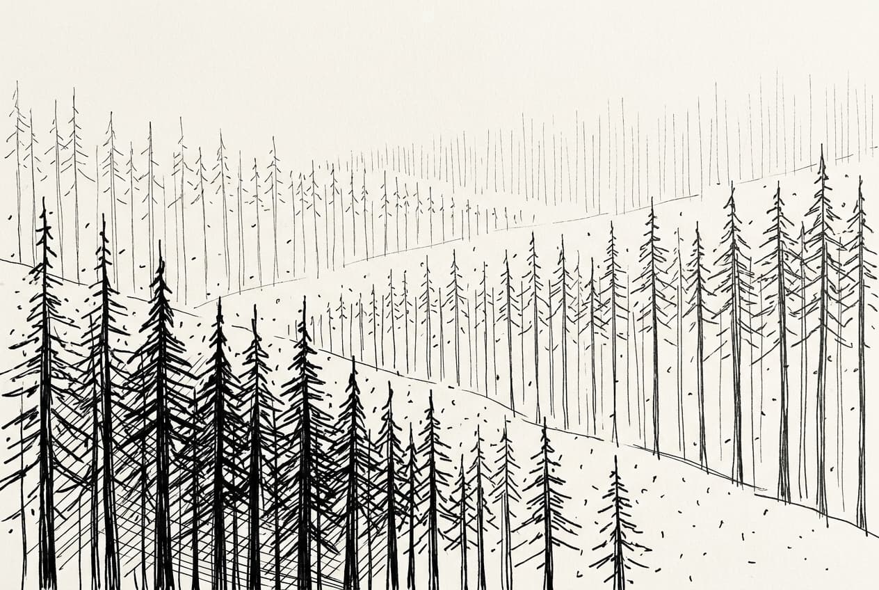 Trevikt skog