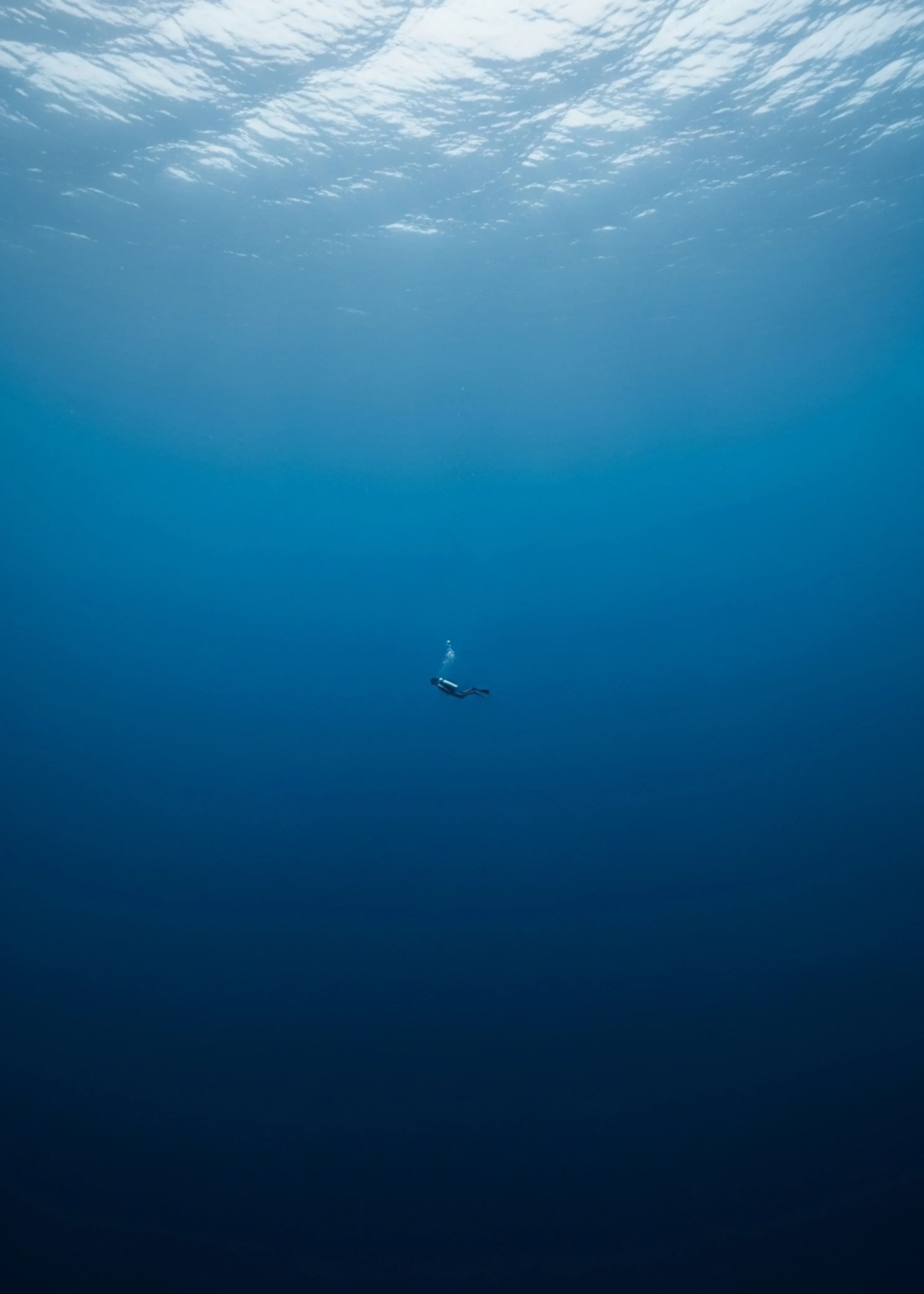 The Big Blue